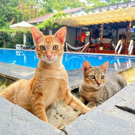 Have Fun Phu Quoc Exterior foto