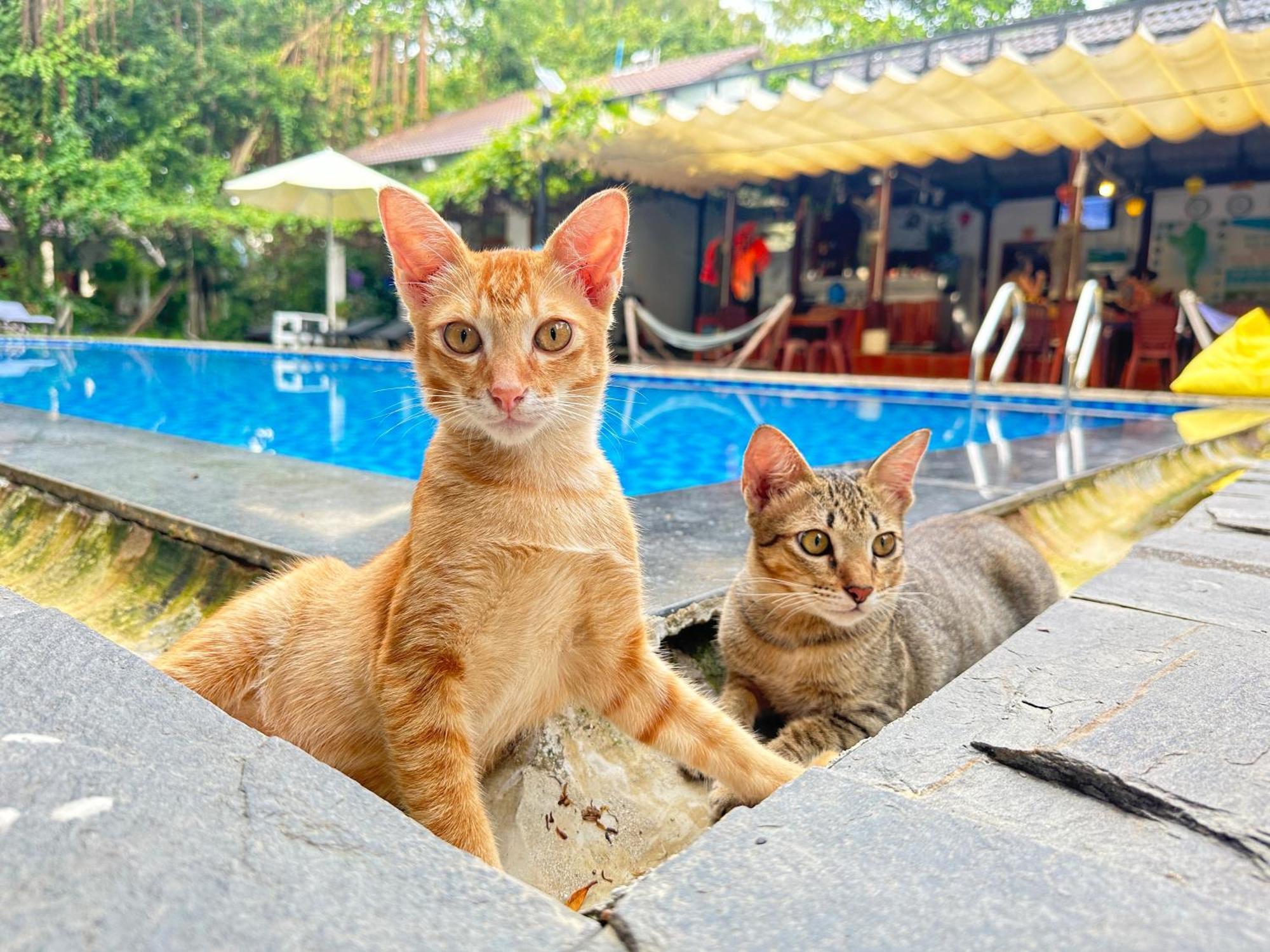 Have Fun Phu Quoc Exterior foto